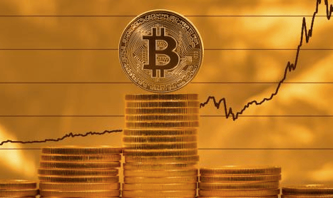 The Economics of Bitcoin
